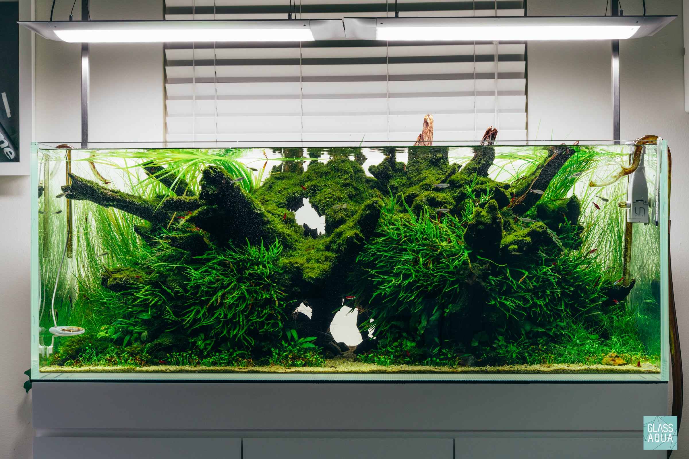 Nature Style Planted Aquarium Tank ADA 120P