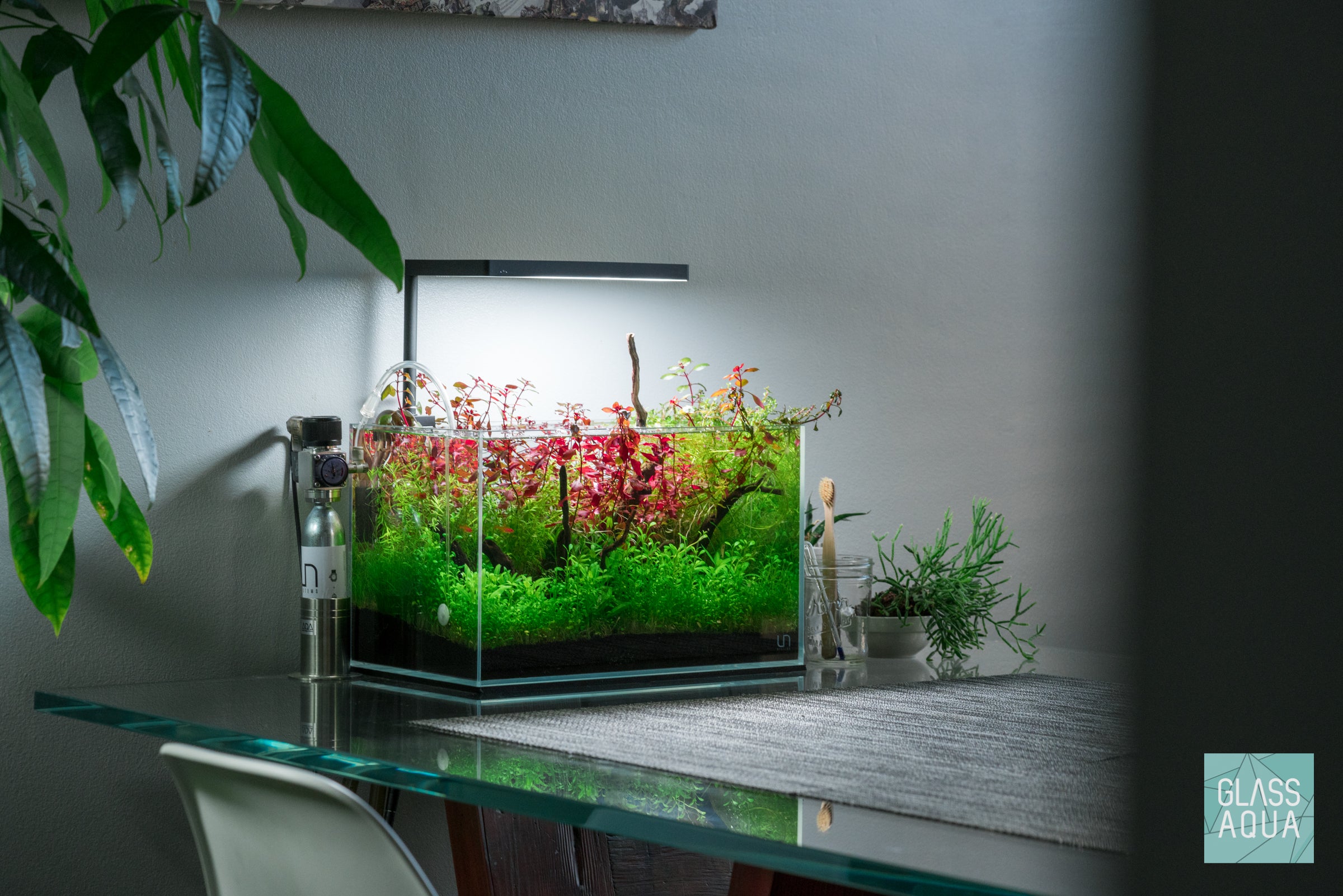 Ultum Nature Systems Planted Nano Tank