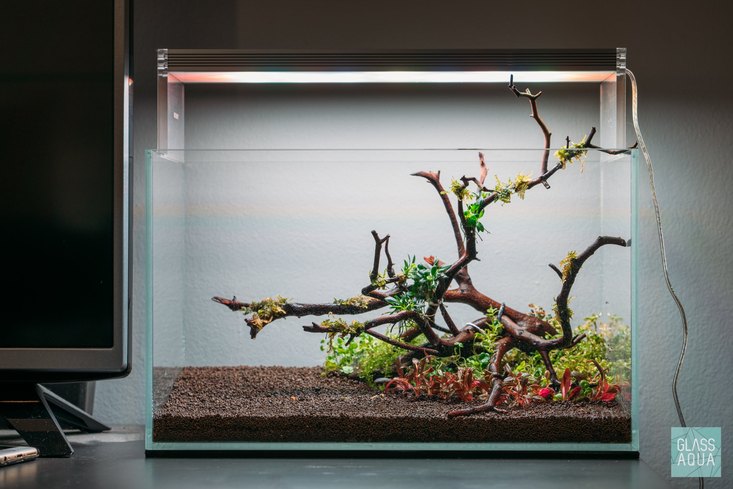 Ultum Nature Systems Planted Nano Betta Tank