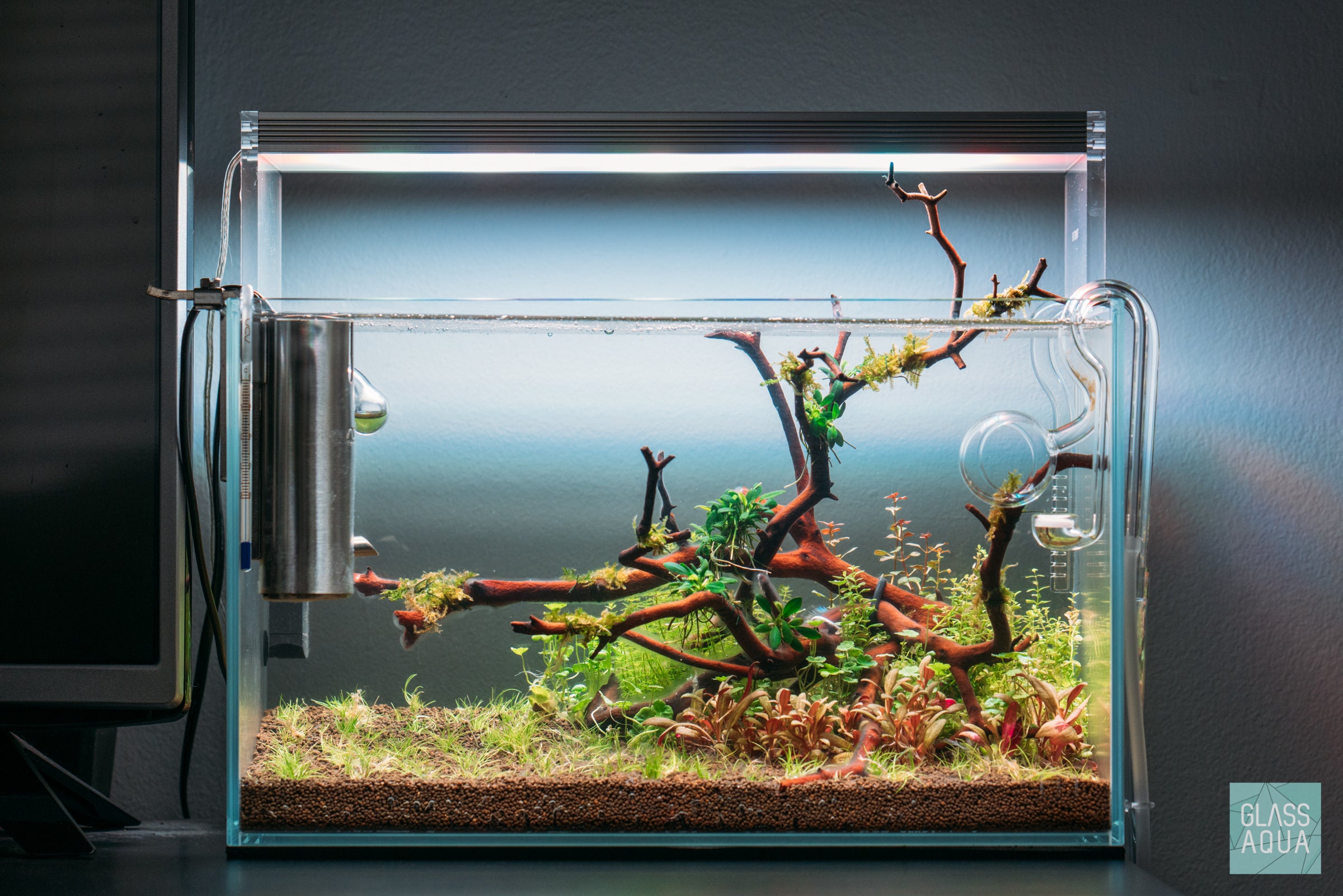 Ultum Nature Systems Planted Nano Betta Tank