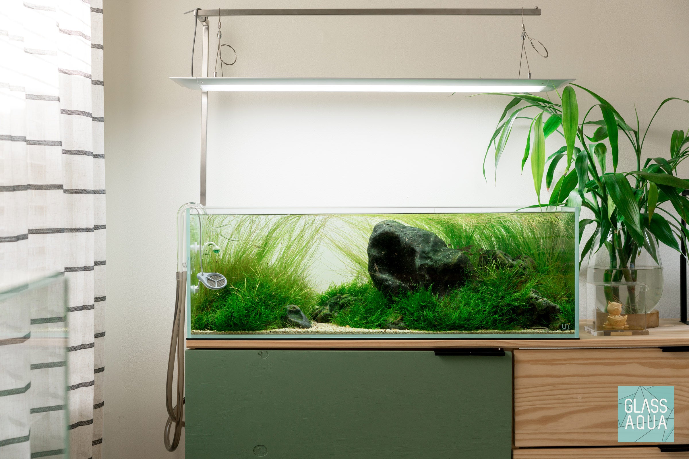 River's Edge: Iwagumi Planted Aquarium Tank 20G Long UNS 90L – Glass Aqua