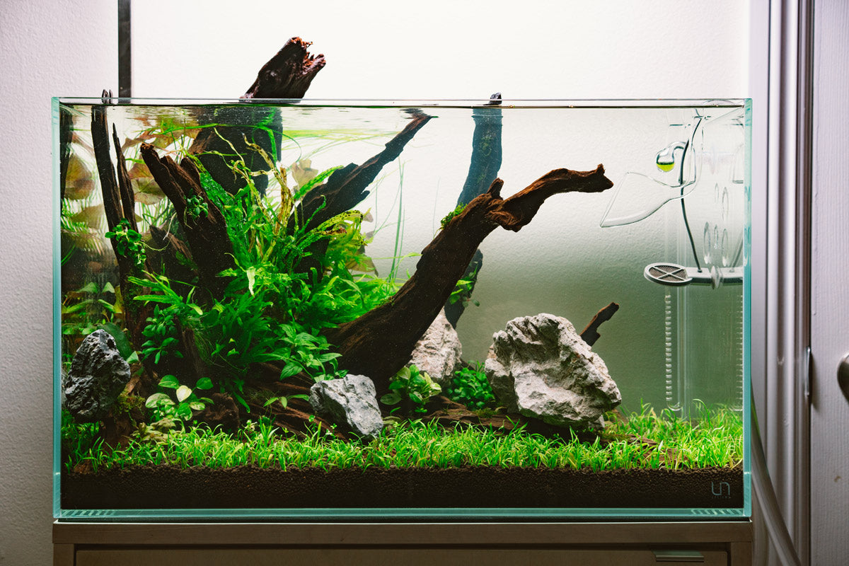 Ultum Nature Systems Nature Aquarium Planted Tank