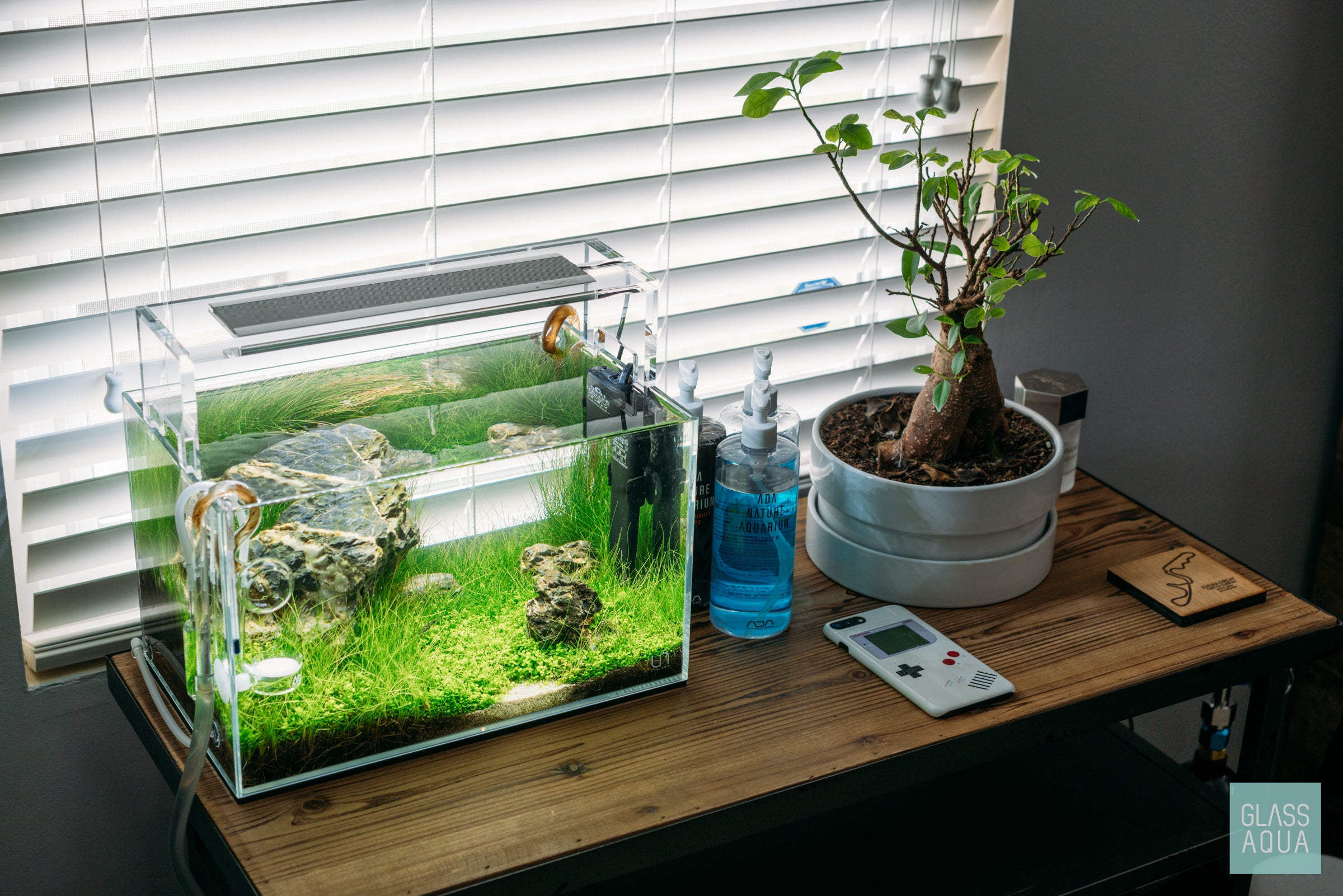 Ultum Nature Systems Planted Nano Iwagumi Tank