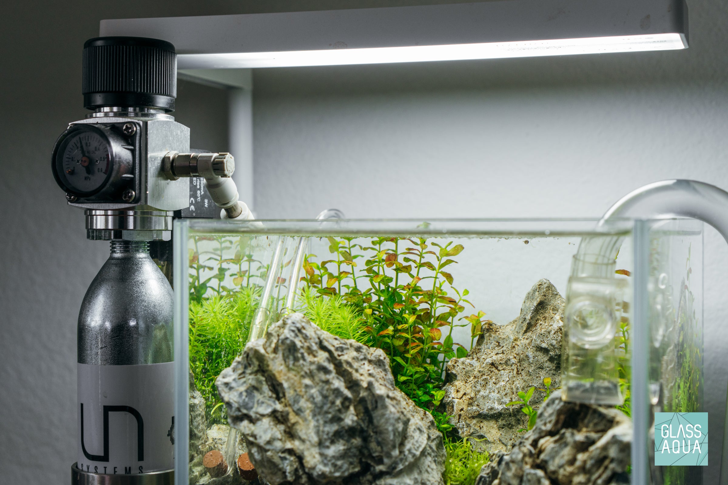 Crestfallen | Nano Iwagumi Planted Cube Aquarium Tank