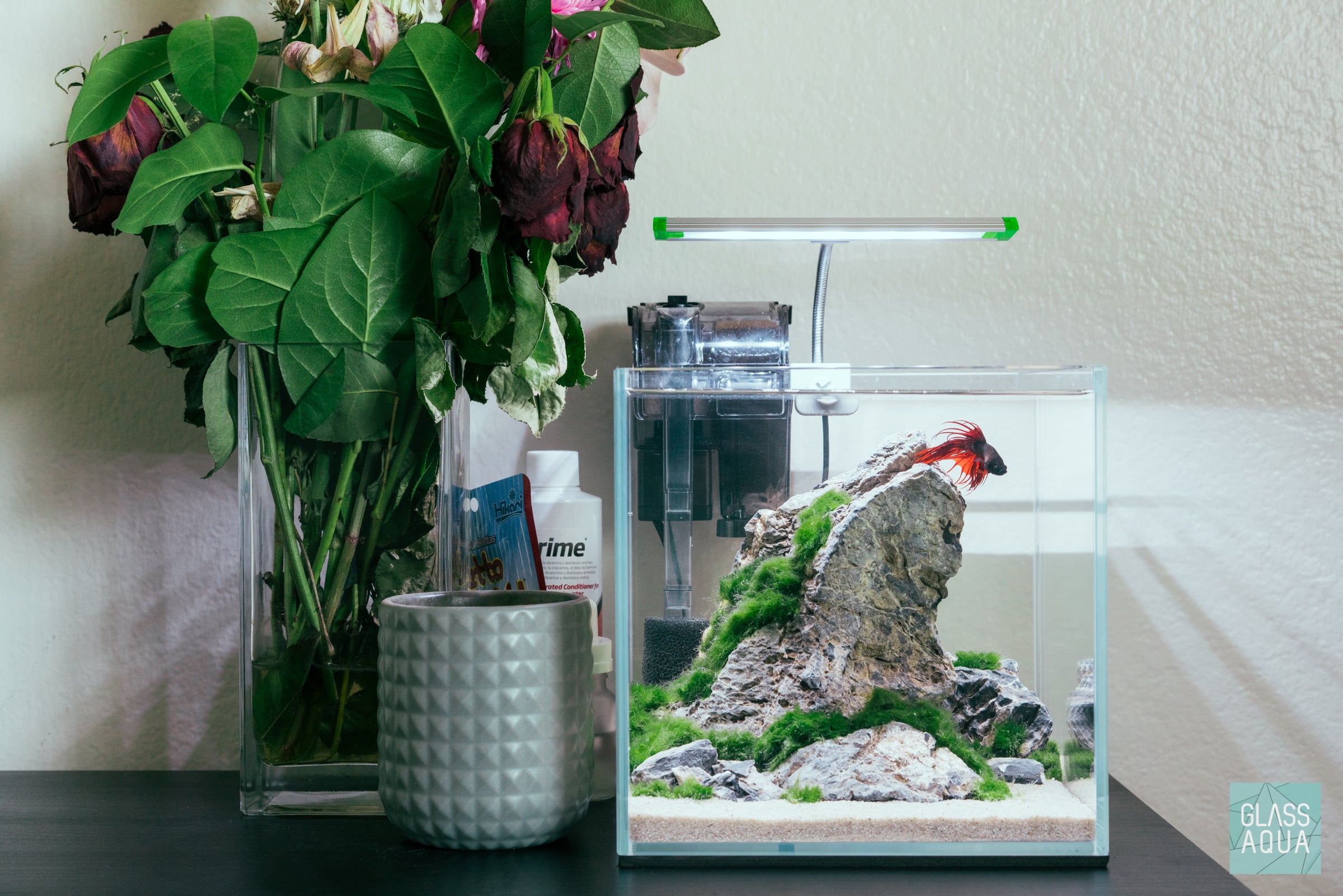 Ultum Nature Systems Planted Cube Betta Tank