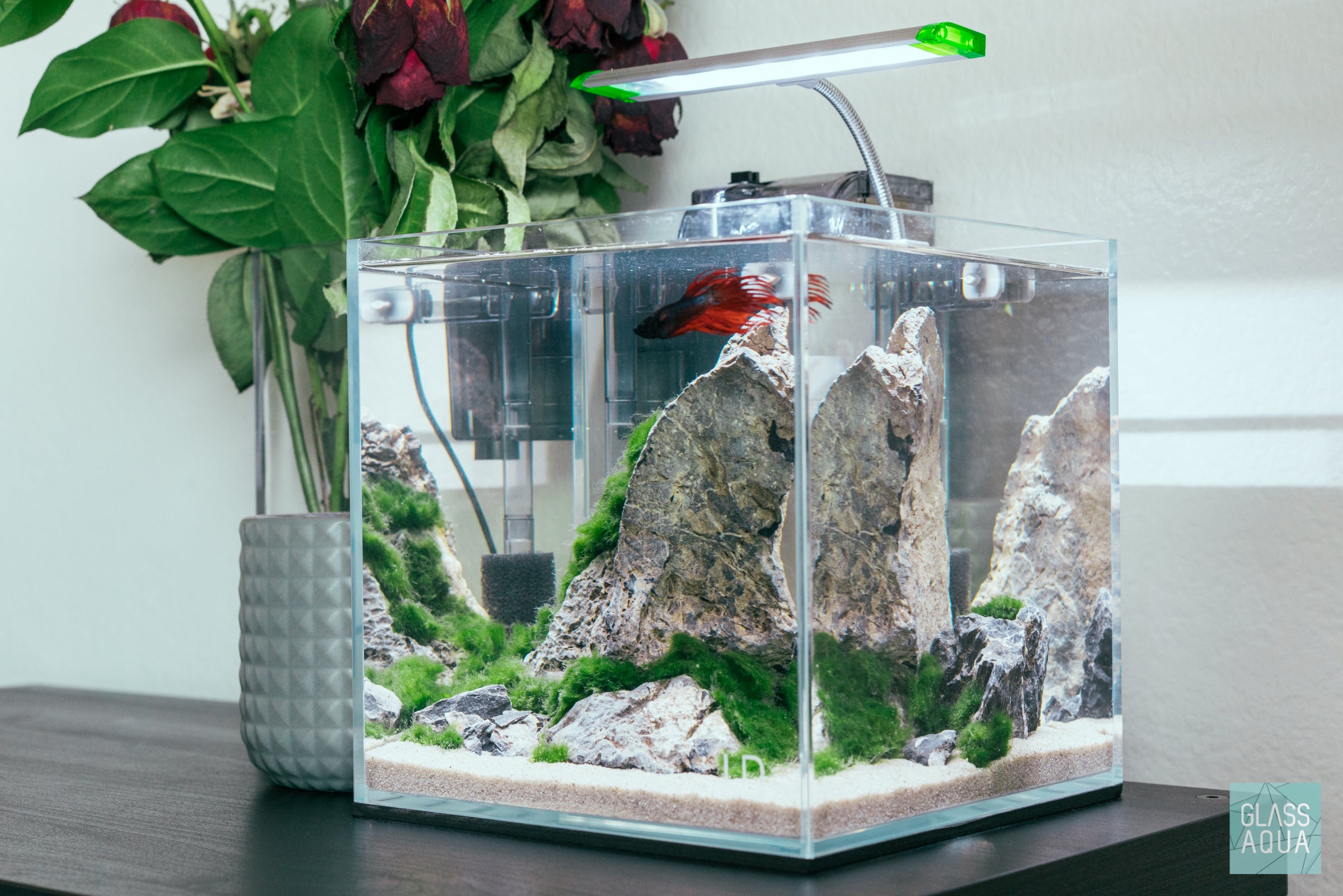 Ultum Nature Systems Planted Cube Betta Tank