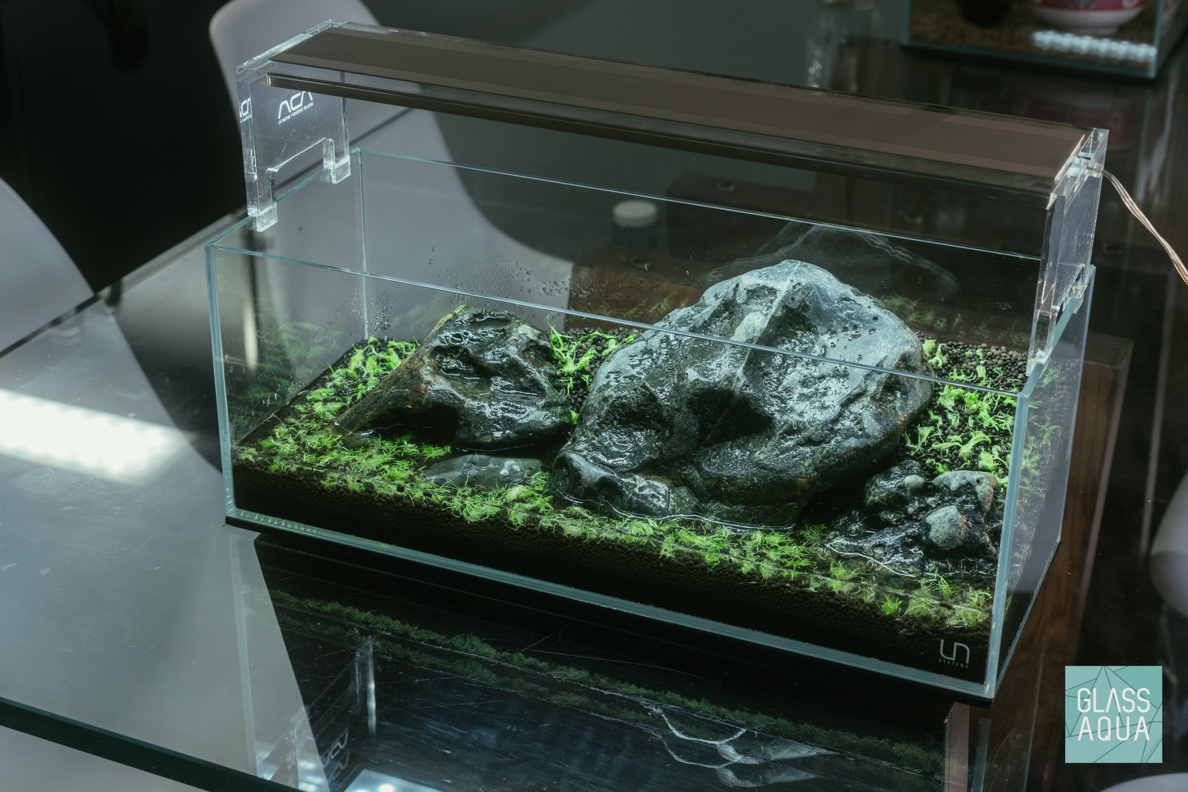 Iwagumi Zen Planted Aquarium Tank UNS 45L