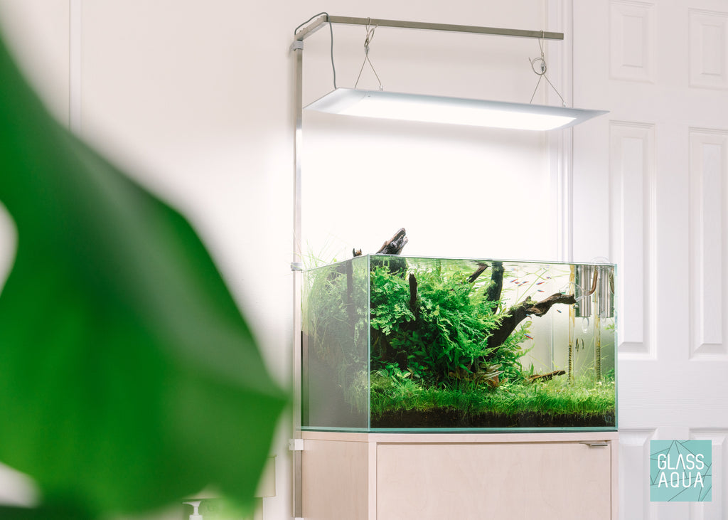 ONF Square Light Hanging Kit on Ultum Nature Systems 60U Planted Aquarium Tank