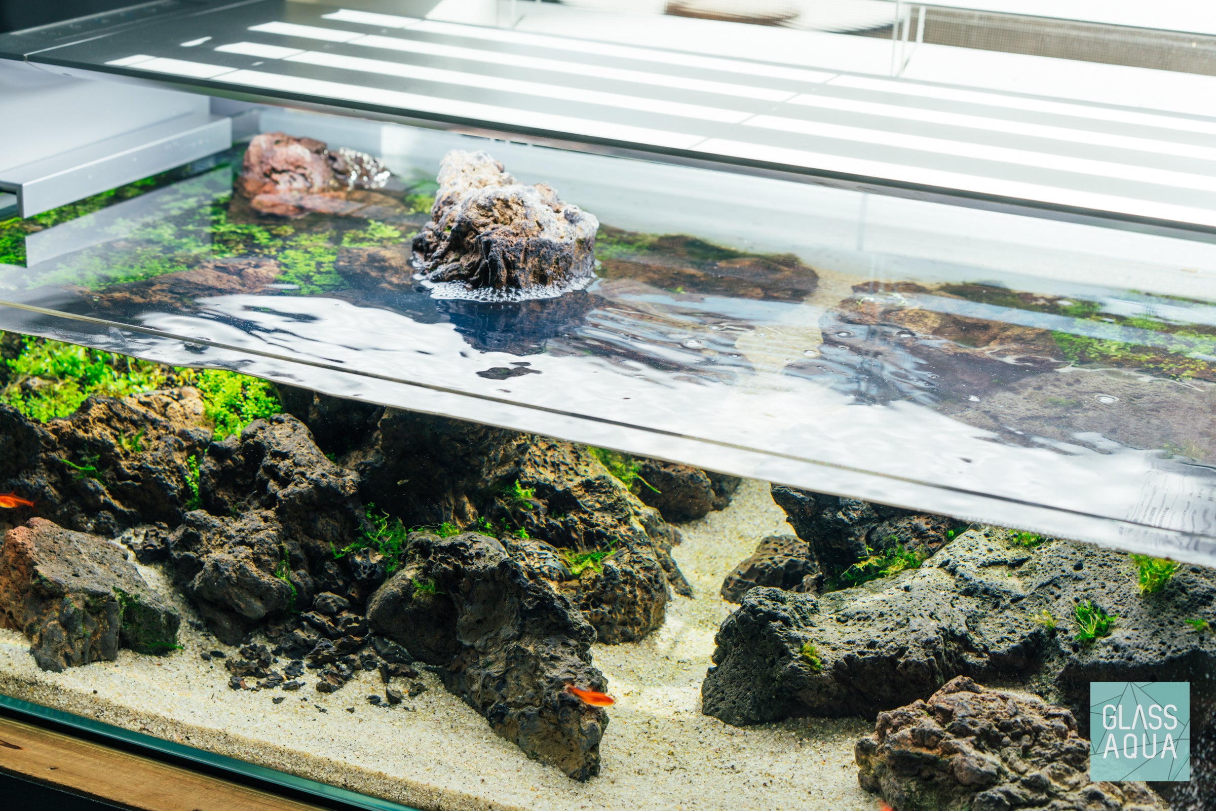 Ultum Nature Systems Shallow Planted Tank Aquarium