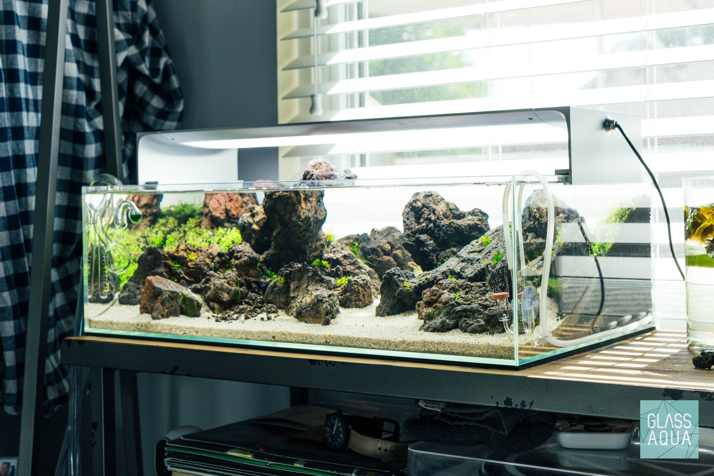 Ultum Nature Systems Shallow Planted Tank Aquarium