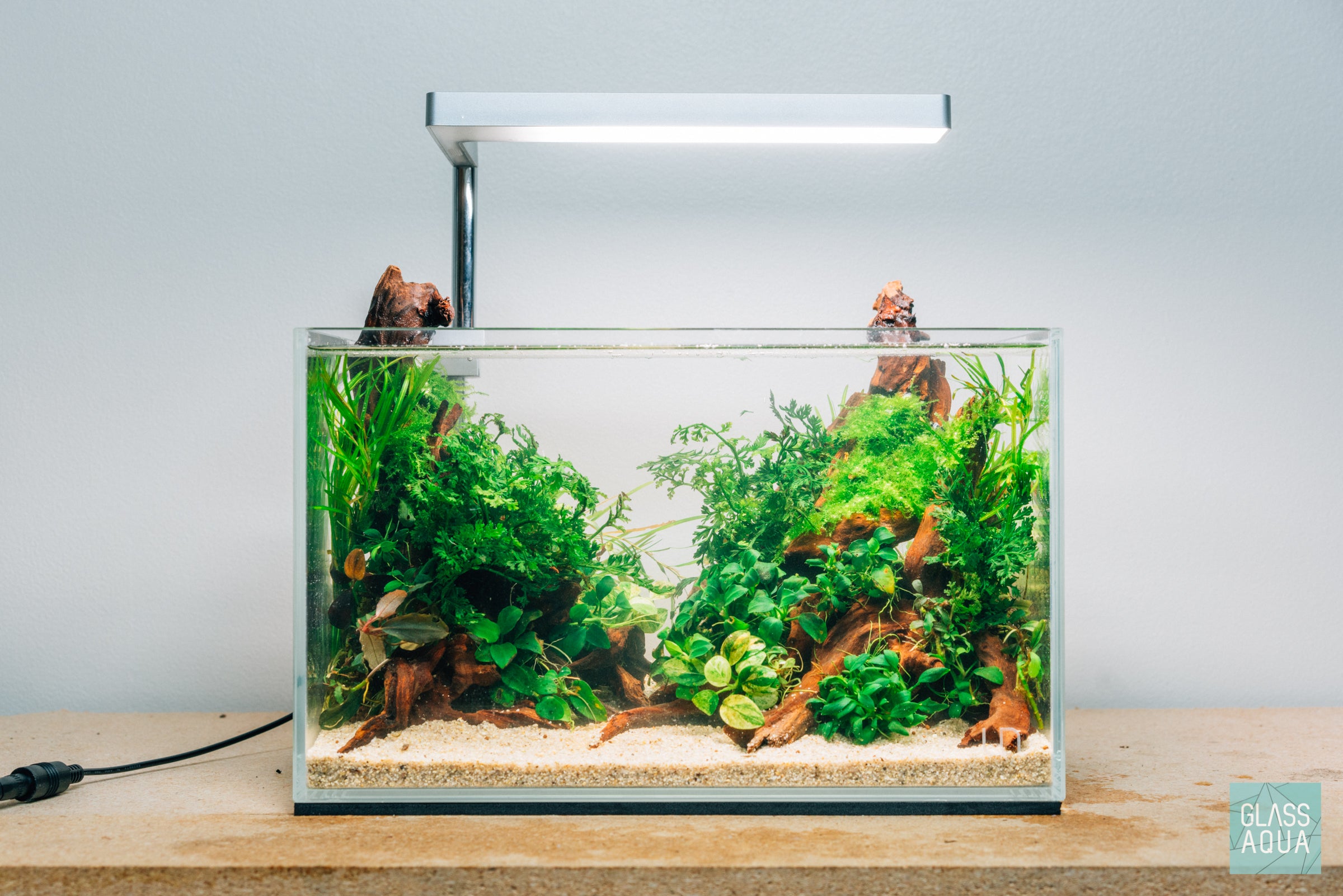 Planted Betta Fish Nano Tank Aquarium – Glass Aqua