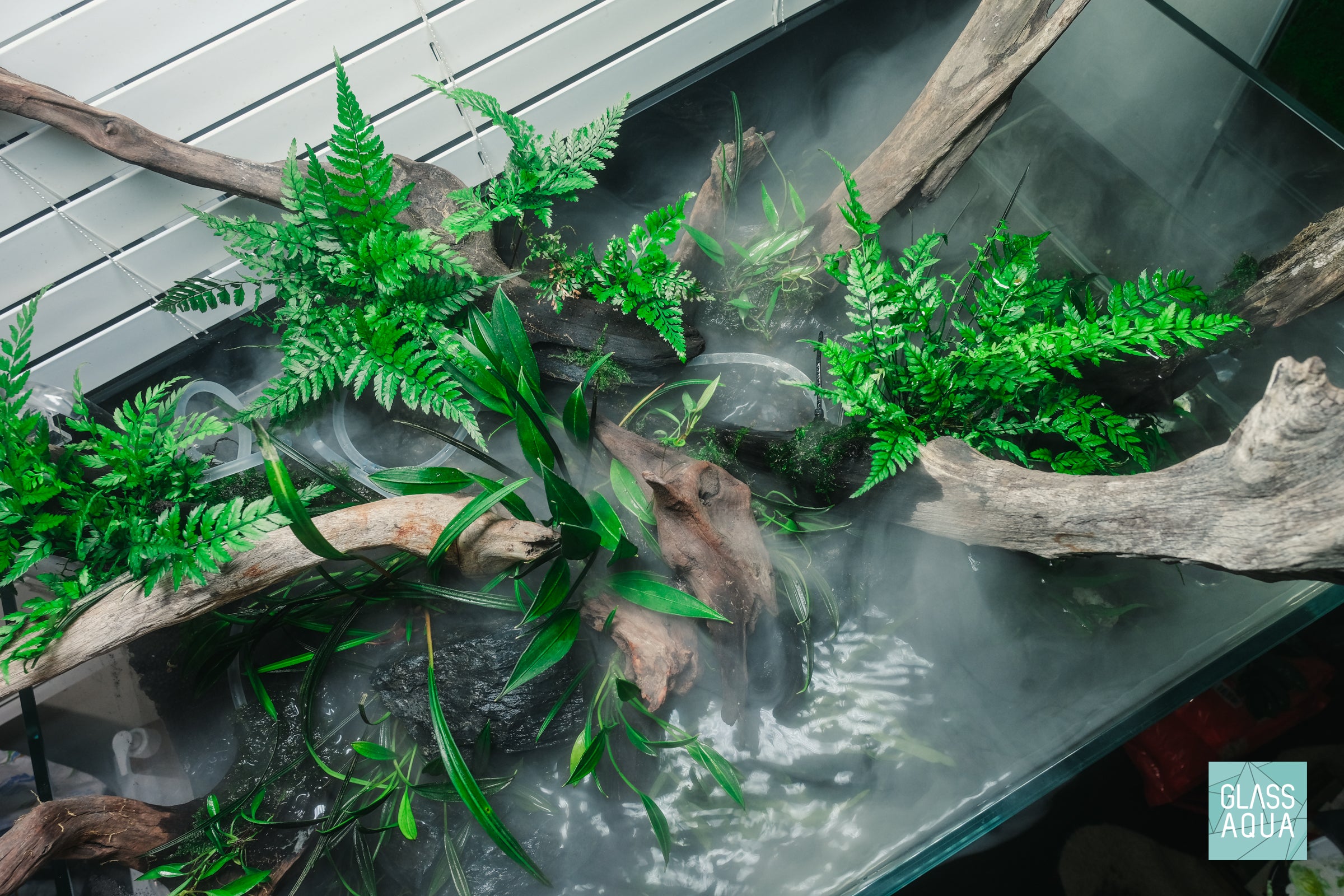 Rainforest Mist - Hybrid Planted Aquarium Tank UNS 75S Shallow Tank