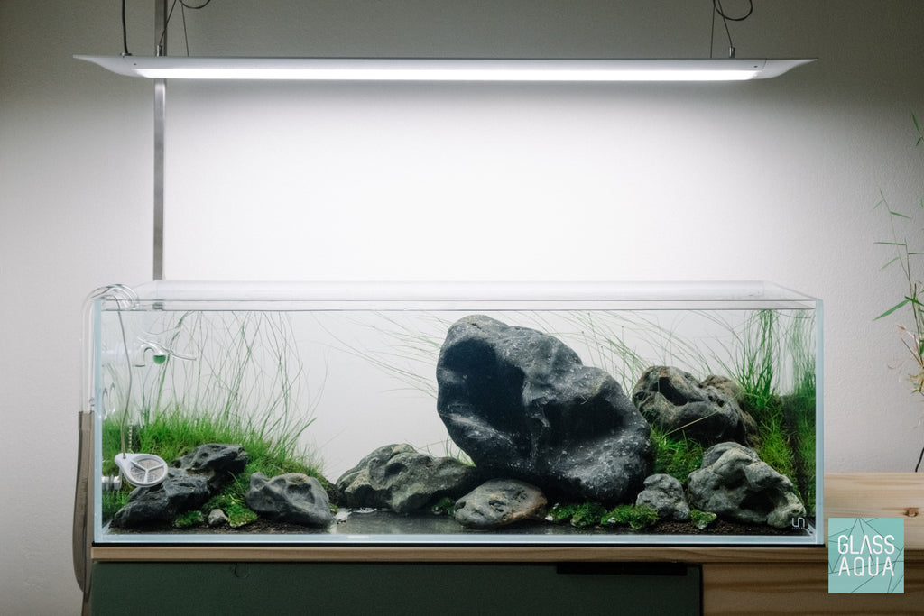 Ultum Nature Systems 90L Long Iwagumi Aquarium Tank