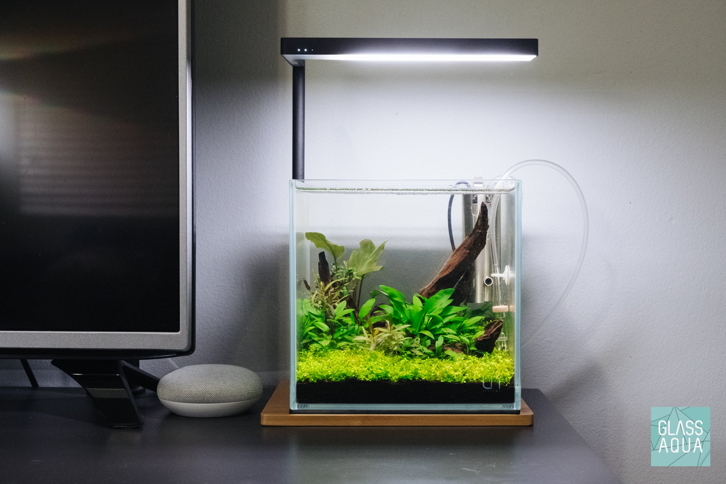 Ultum Nature Systems Planted Cube Betta Tank