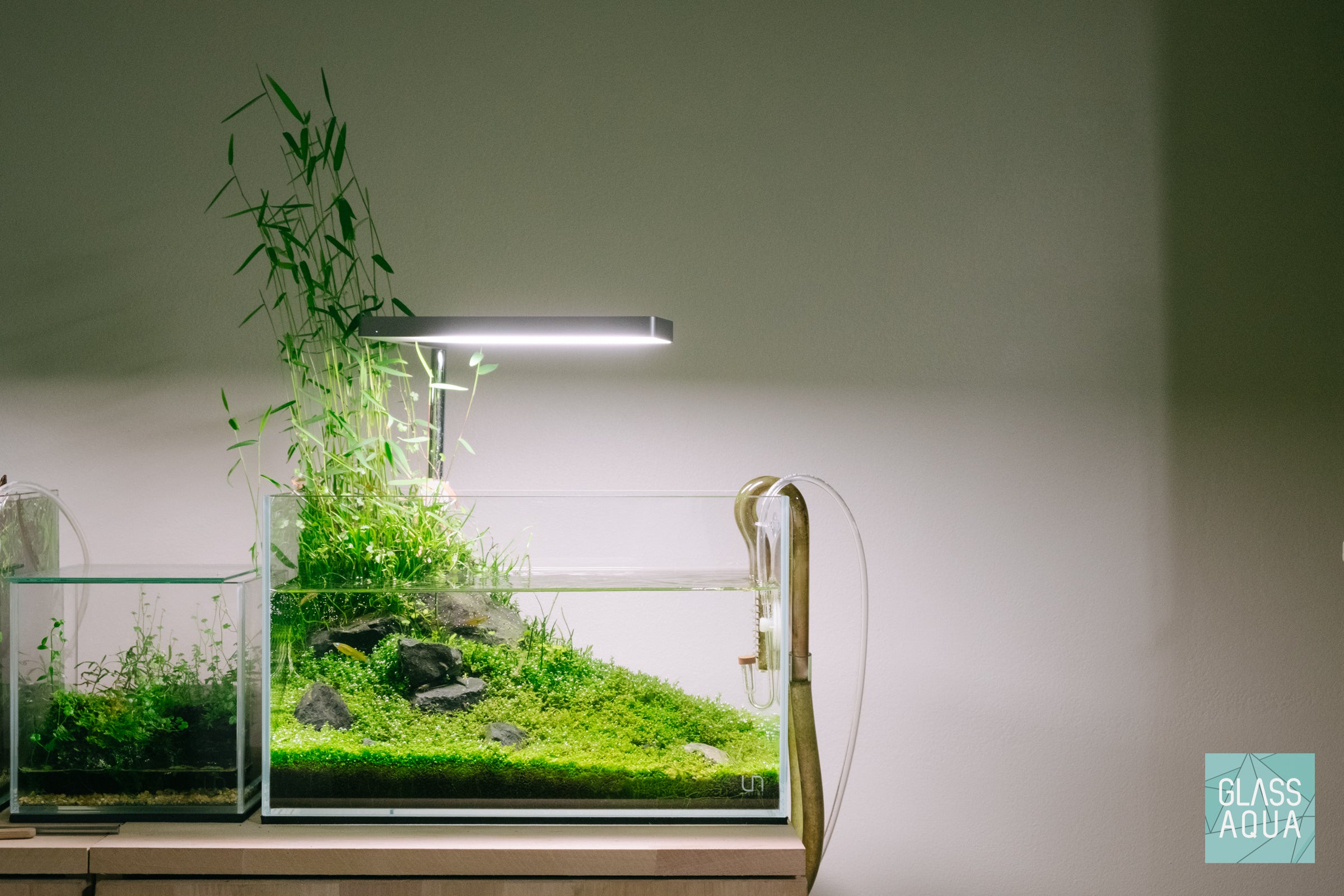 Ultum Nature Systems Planted Nano Aquarium Tank