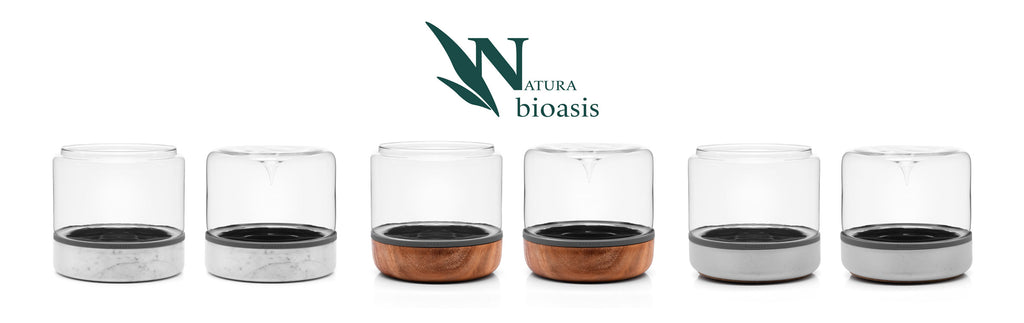 Natura Bioasis Terrarium