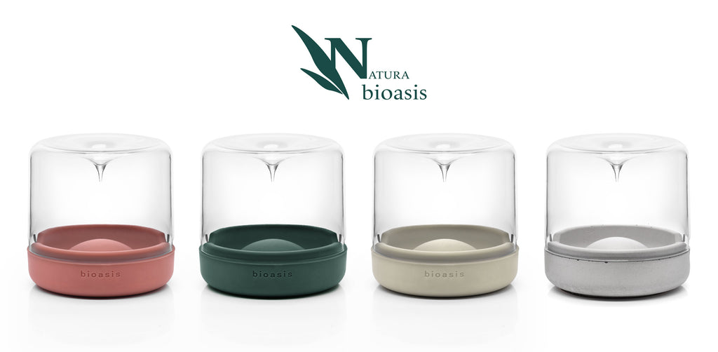 Natura Bioasis Terrarium Small