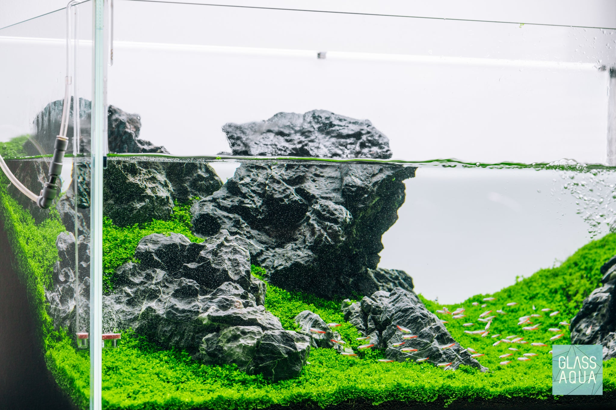 Glass Aqua Planted Aquarium Tank