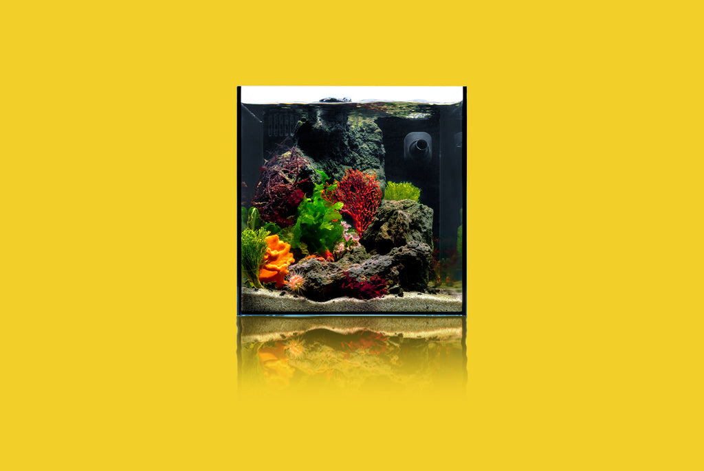 Ultum Nature Systems 45A Dual All In One Rimless Aquarium Tank