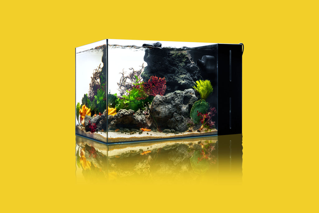 Ultum Nature Systems 45A Dual All In One Rimless Aquarium Tank