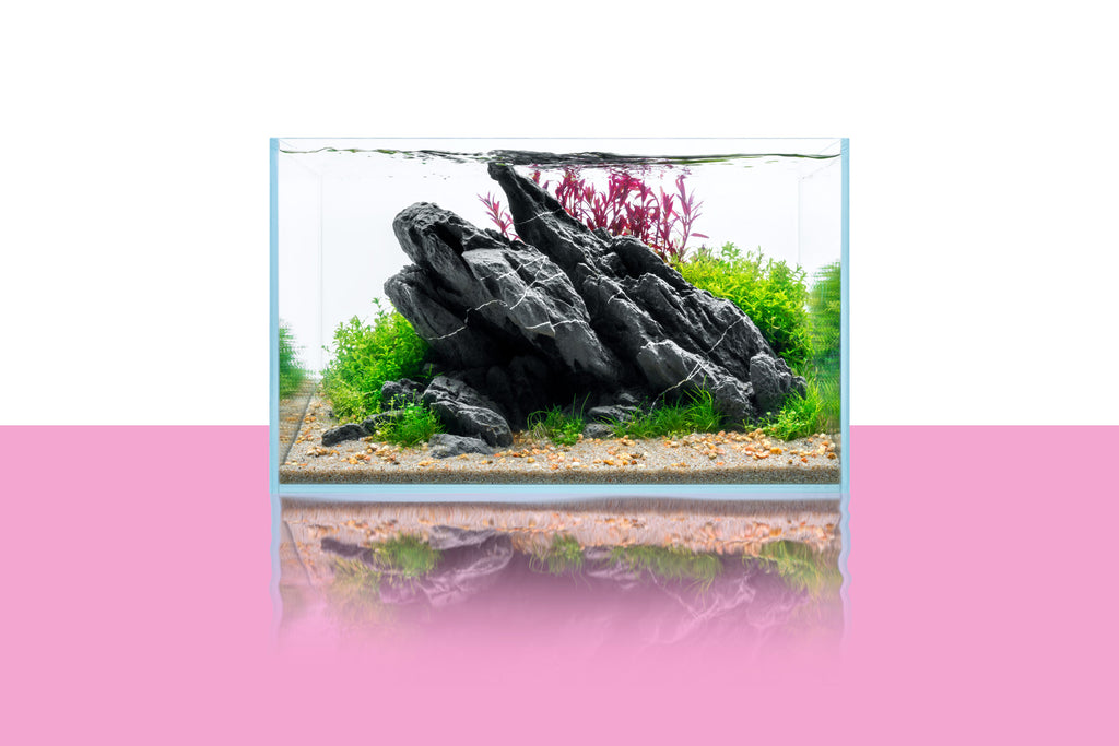 Ultum Nature Systems 5N Nano Rimless Glass Aquarium Tank
