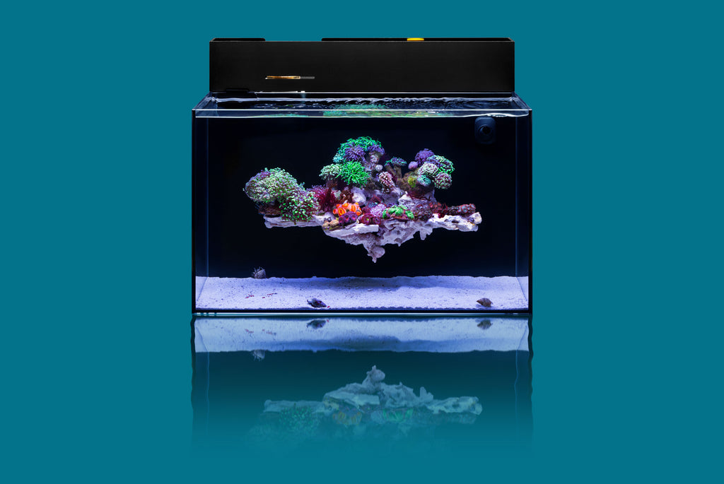 Ultum Nature Systems Dual All In One Rimless Glass Aquarium Reef Tank