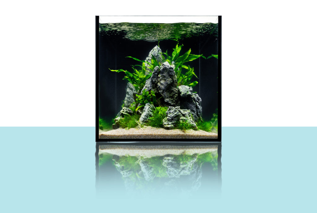 Ultum Nature Systems 90LA Dual All In One Rimless Glass Aquarium