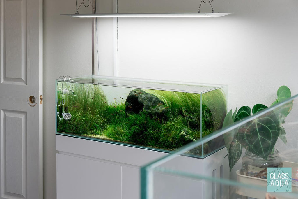 Ronde correct Kalmte Ultum Nature Systems Rimless Long Glass Aquarium Tank