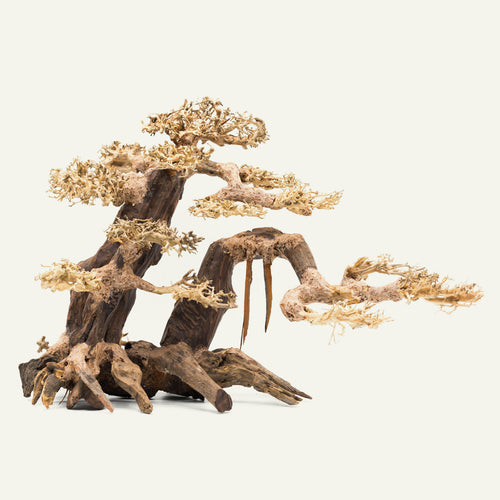 Bonsai Tree Driftwood XXL Centerpiece