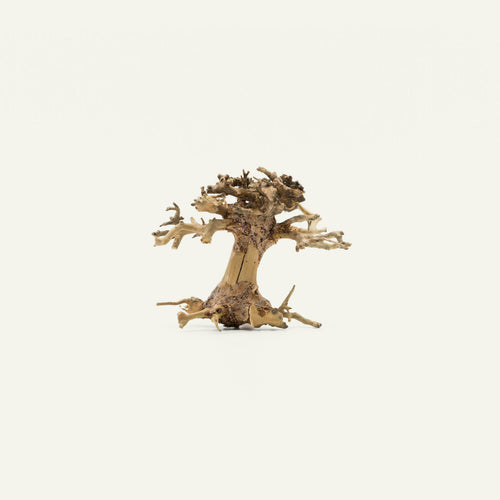 Bonsai Tree Driftwood Mini Accent