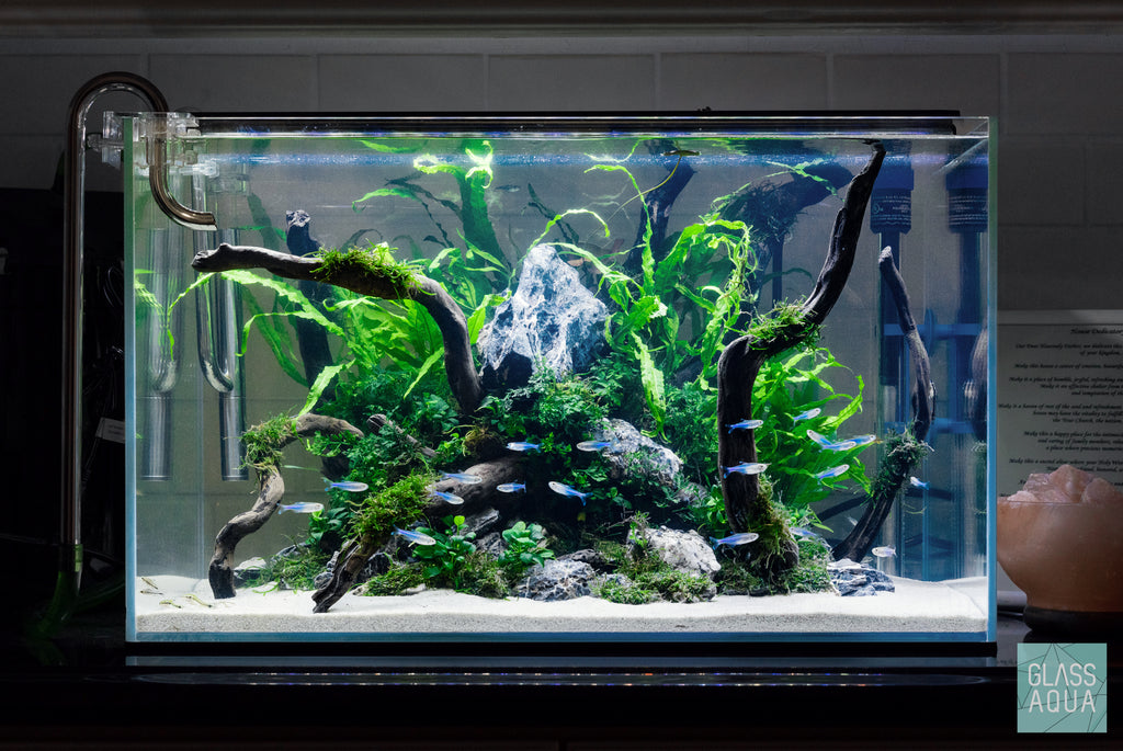 Conciërge Email schrijven residentie Ultum Nature Systems Rimless Standard Glass Aquarium Tank