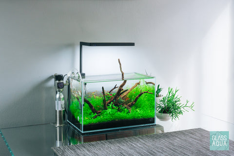 Plotselinge afdaling drinken gangpad Glass Aqua - Aquascaping and Planted Aquarium Tank Online Store