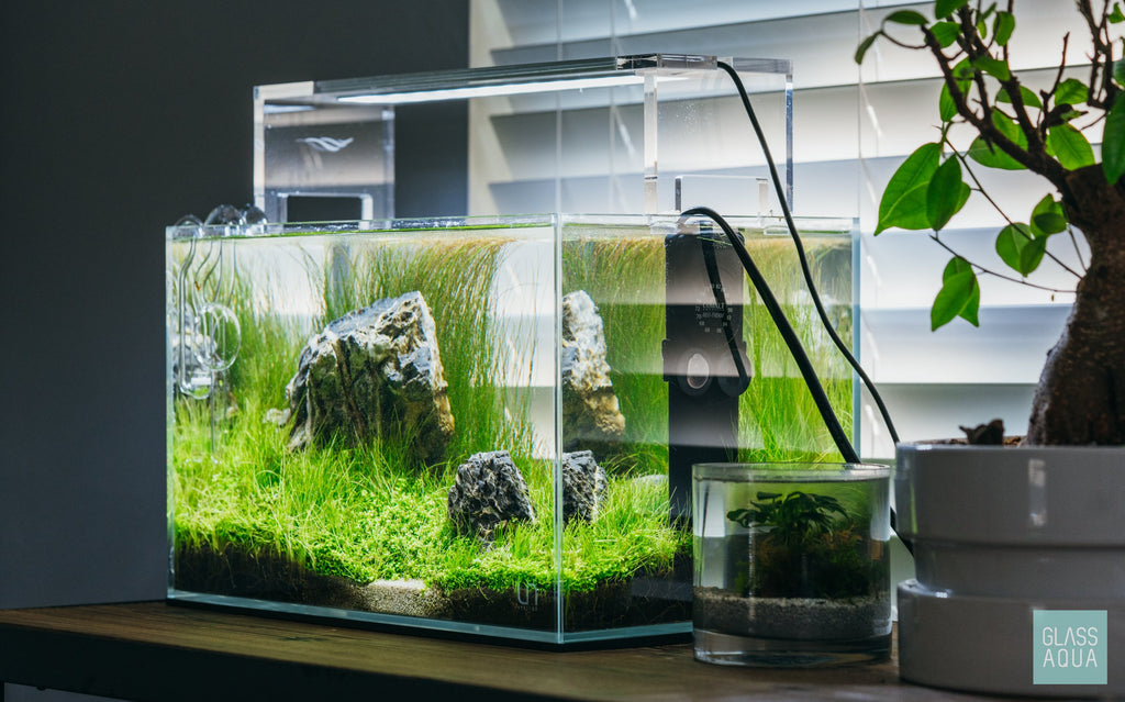 Reden in beroep gaan Gelijk Ultum Nature Systems Rimless Nano Glass Aquarium Tank