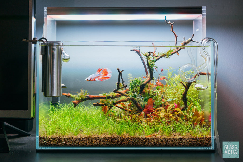 Rimless Nano Glass Aquarium Tank