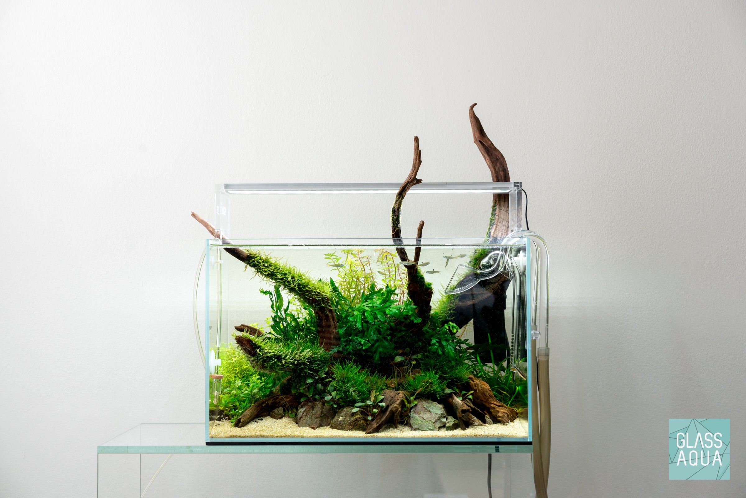 Demonteer Kietelen vrijgesteld Ultum Nature Systems Rimless Standard Glass Aquarium Tank