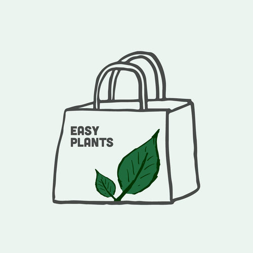 Mystery Easy Plant Bag