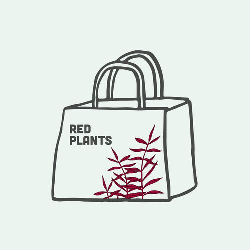 Mystery Red Plant Bag