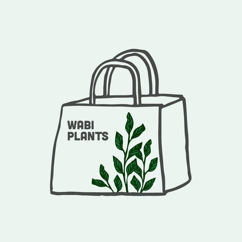 Wabi Kusa Mystery Plant Bag