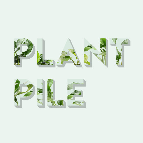 Plant Pile Value Pack