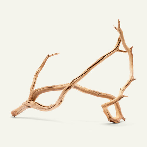 Manzanita Branch Wood