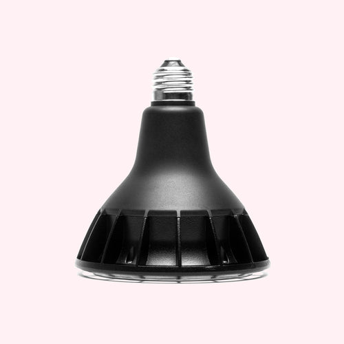 ONF Aditya Plant Lamp LED Light