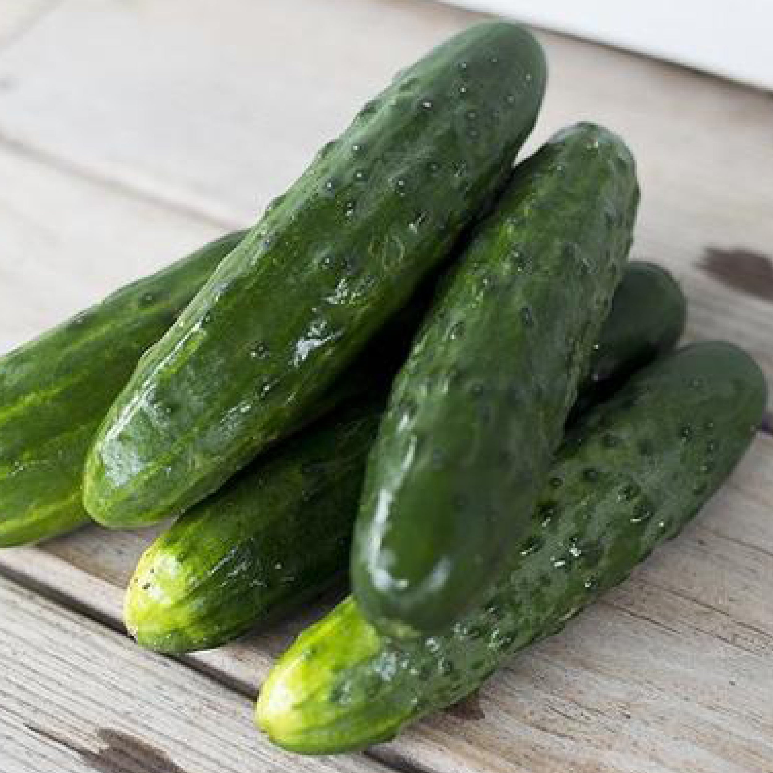 35 Best Cucumber Varieties You Can Grow At Home - Gardenoid