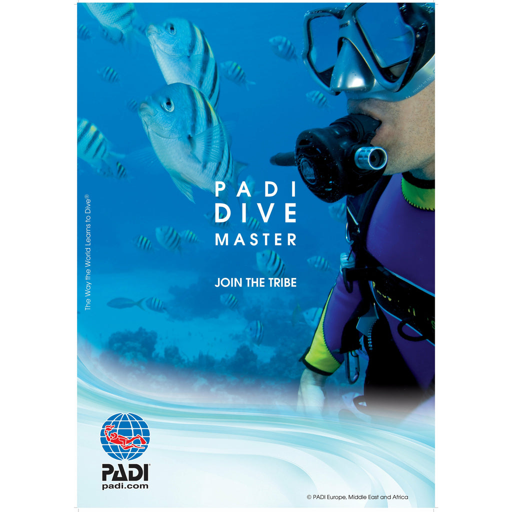 PADI Divemaster Course Go Dive Tasmania