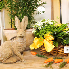 Bunny and Planted Arrangement