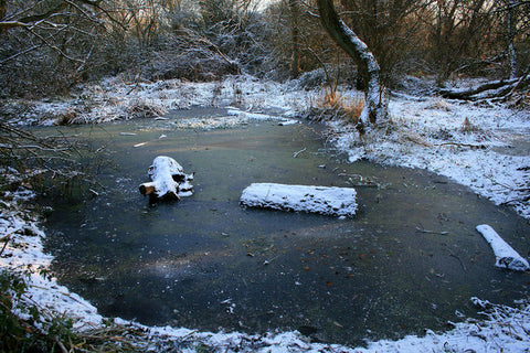 preparing-pond-winter