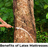 Benefits of Latex Mattresses