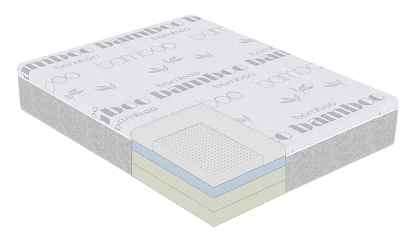 Viscoform 10 Memory Foam & Latex Mattresss Vancouver Canada