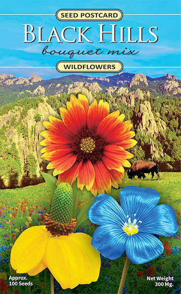 Black Hills Wildflower Bouquet Seed Packet