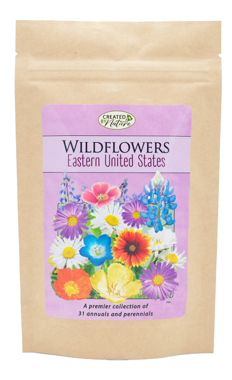 Hummingbird and Butterfly Wildflower Seed Mix – Over 60,000 Seeds