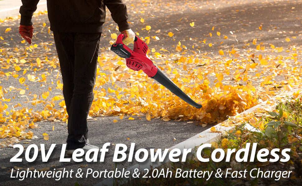 Cordless Compact Leaf Blower - 20V, 2.0Ah, Li-ion Battery
